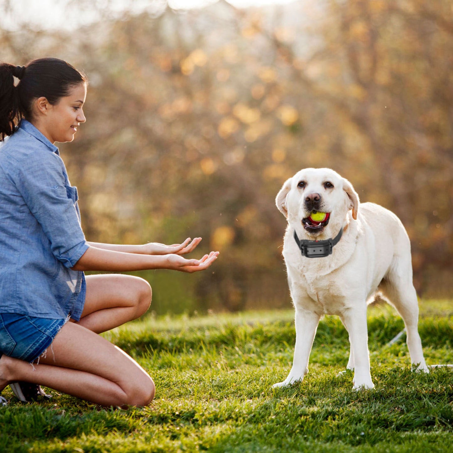 1Set 328FT Electric Wireless Dog Fence System With GPS Location Monitor Collar Receiver Rechargeable Beep Vibration Fence System For Small Medium Large Dogs
