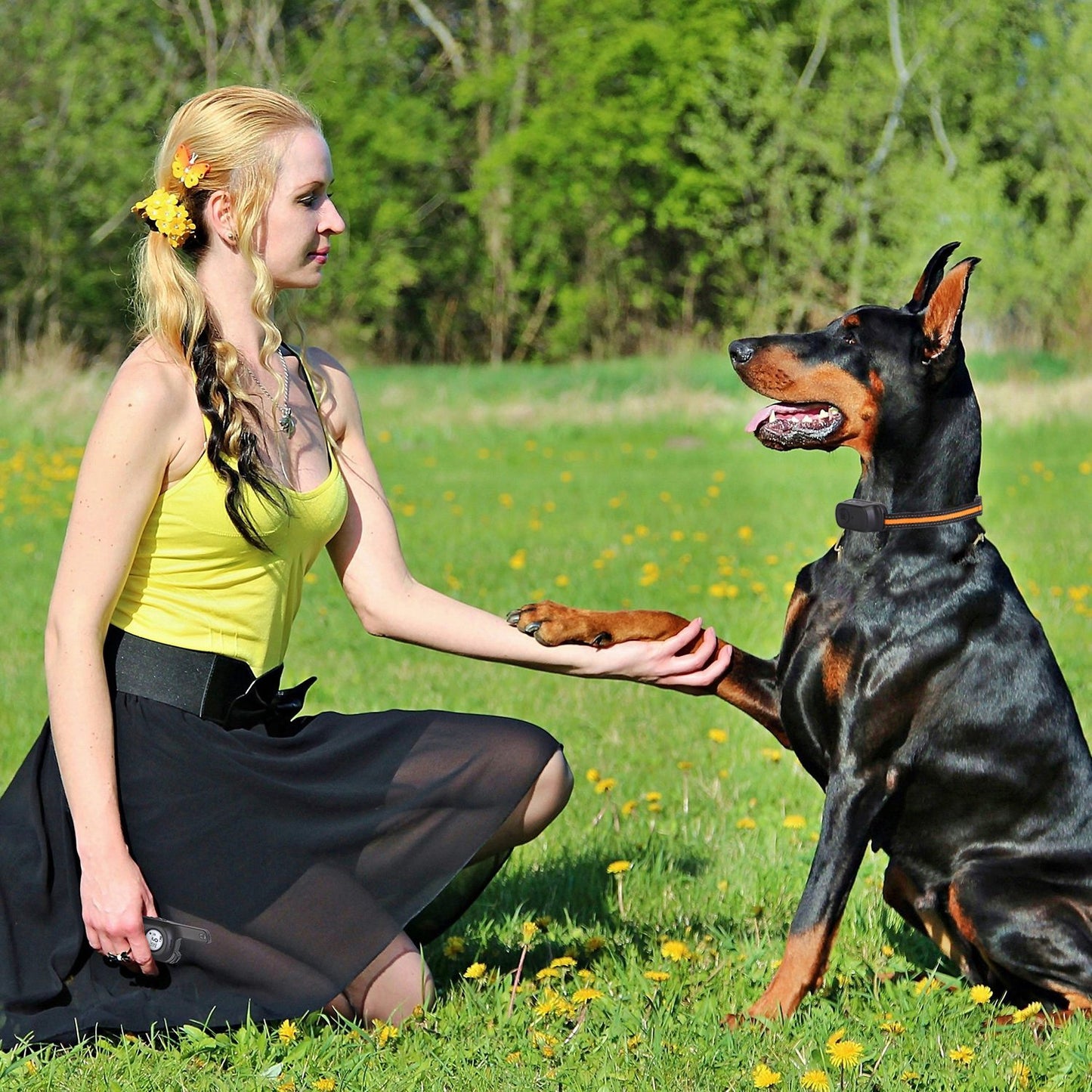 1Pc 984FT Dog Training Collar IP65 Waterproof Pet Beep Vibration Electric Shock Collar 3 Channels Rechargeable Transmitter Receiver Trainer With Recording Safety Keypad Lock